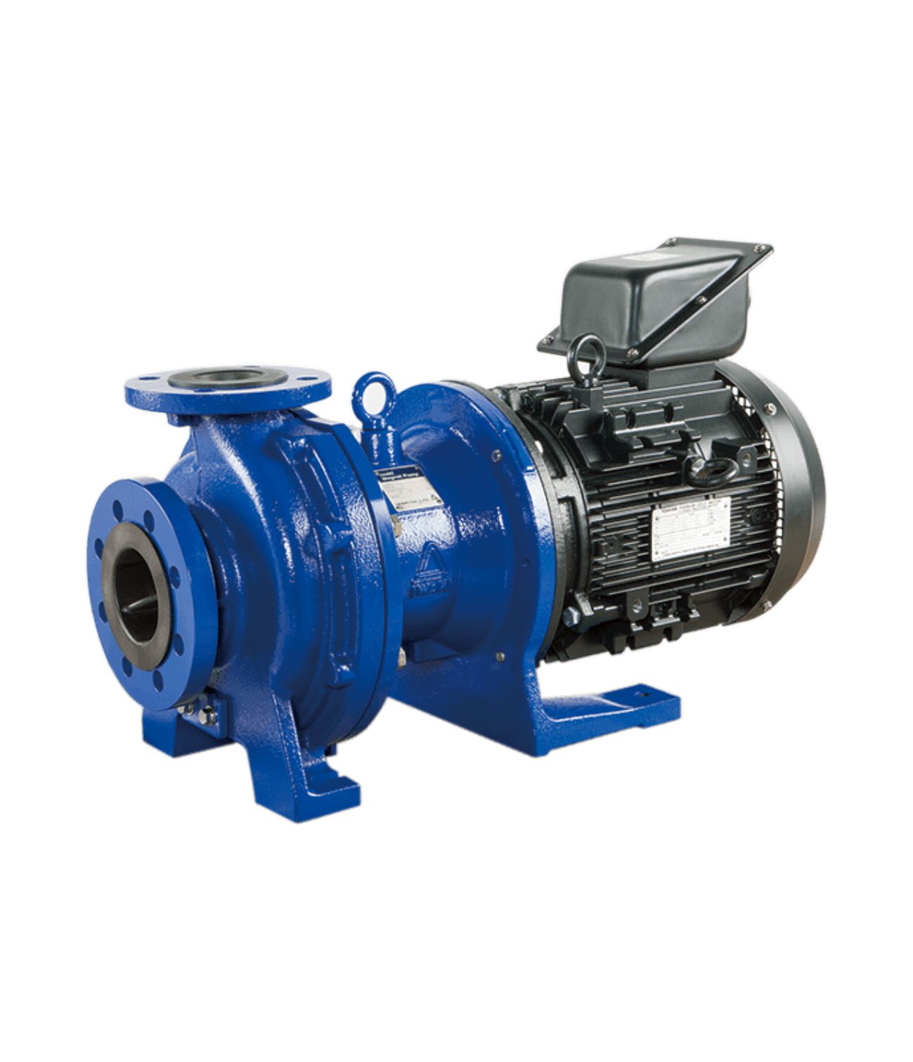 Magnetically driven pump