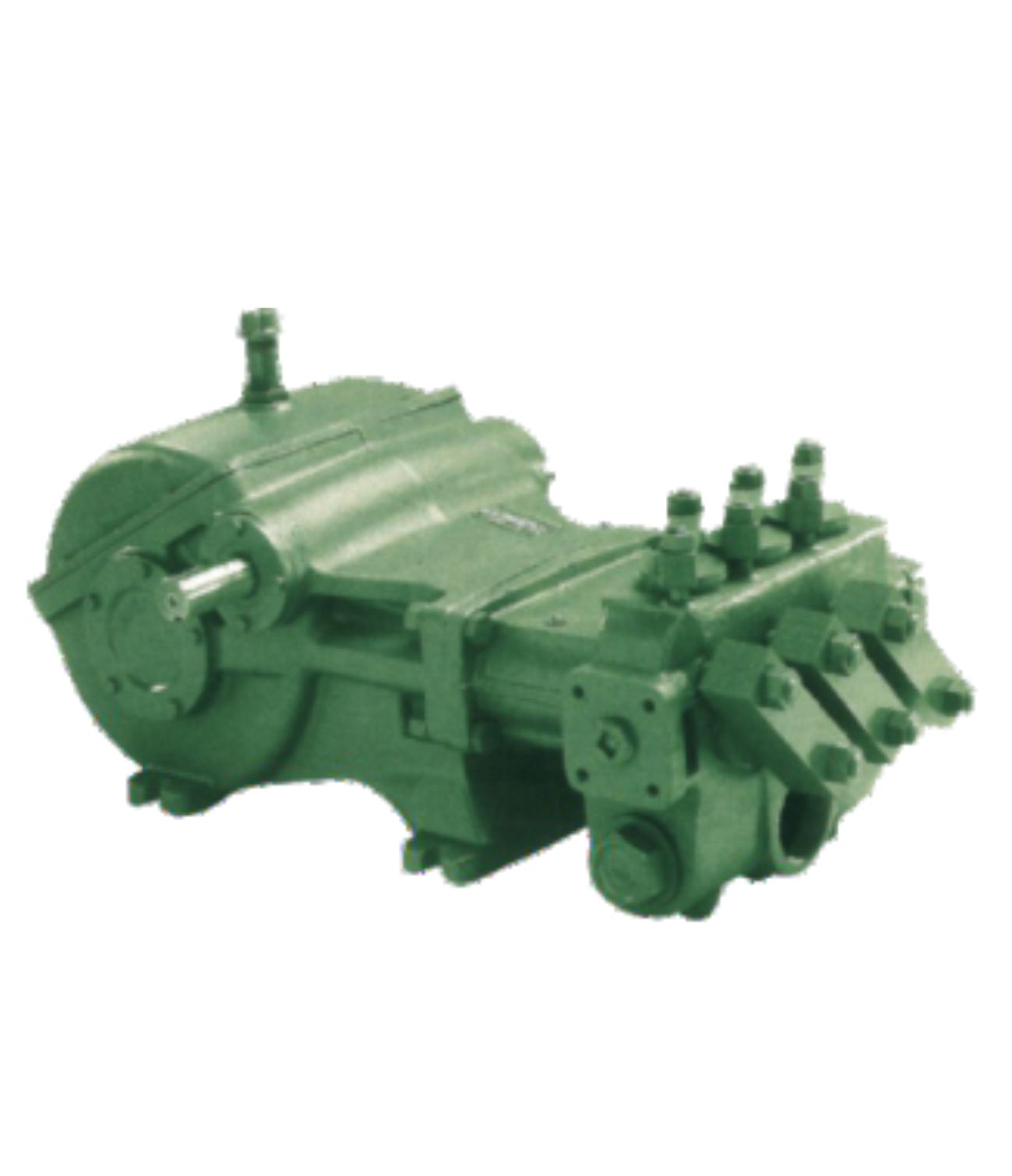 Reciprocating plunger piston pump